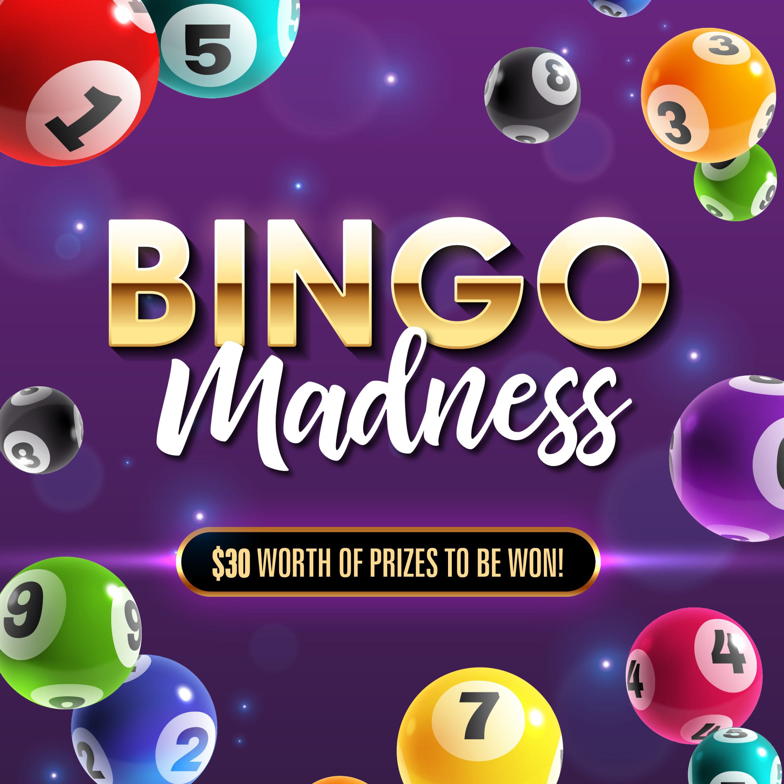 Ingenia Gardens Bingo Madness